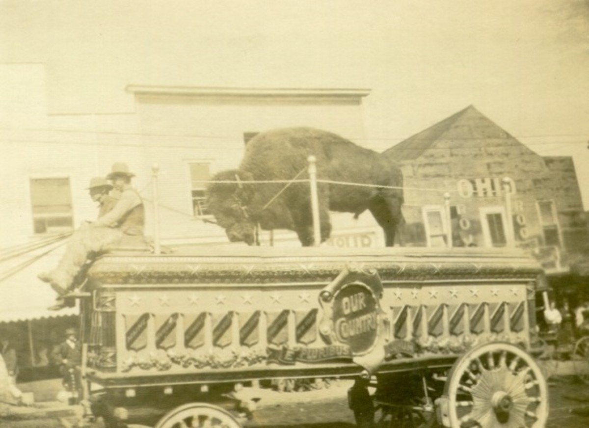 Buffalo and a circus parade wagon, around 1915; Located in Oklahoma, town unknown