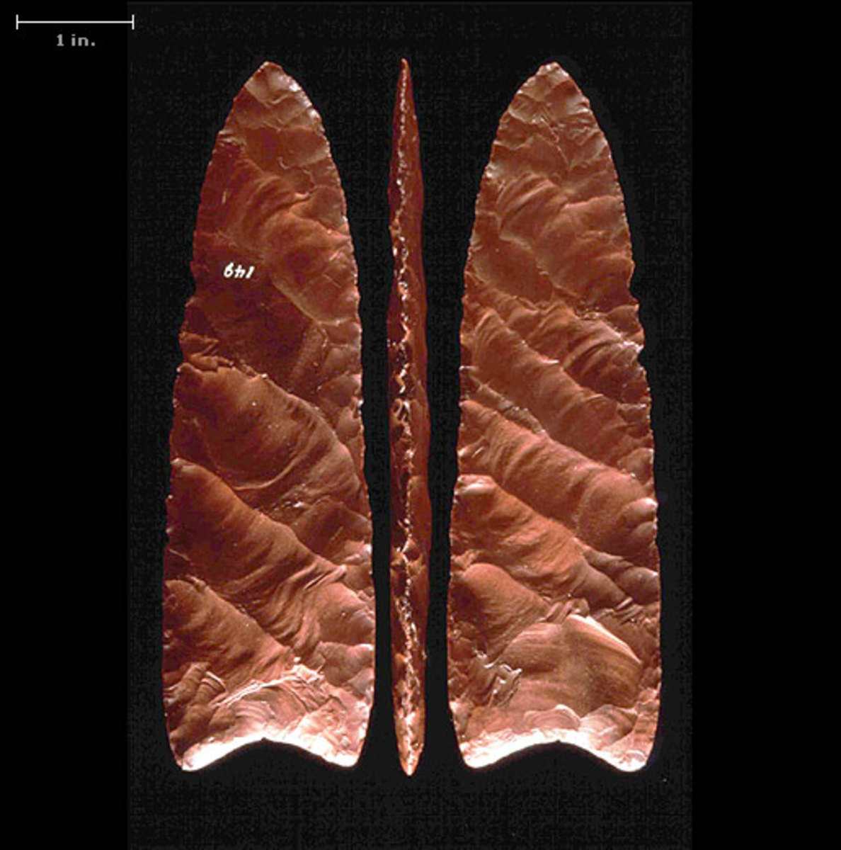 Clovis Points: These Points were strapped to the end of a long stick and used to spear large game animals. Clovis Points: These Points were strapped to the end of a long stick and used to spear large game animals.