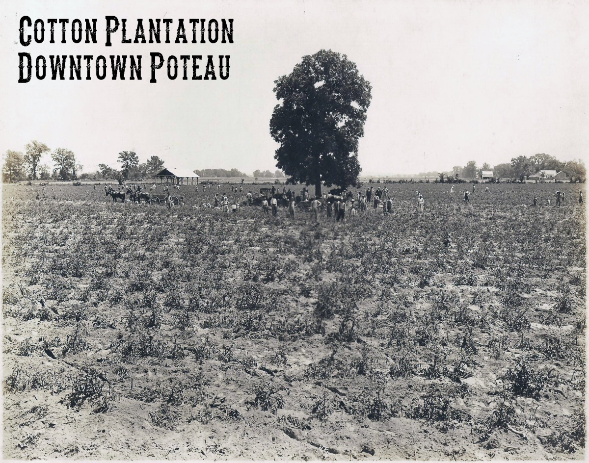 Harper's Plantation