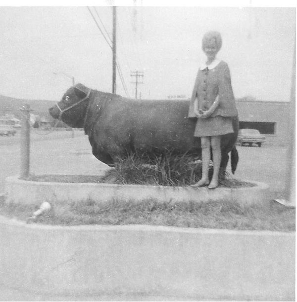 Ann Parker standing by the Black Angus Bull