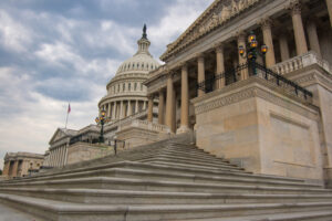 the-necessary-evil-of-government-power-and-the-practical-benefits-of-political-development