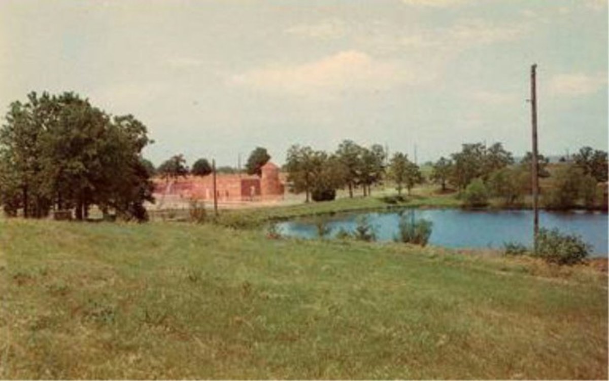 The pond and pool area