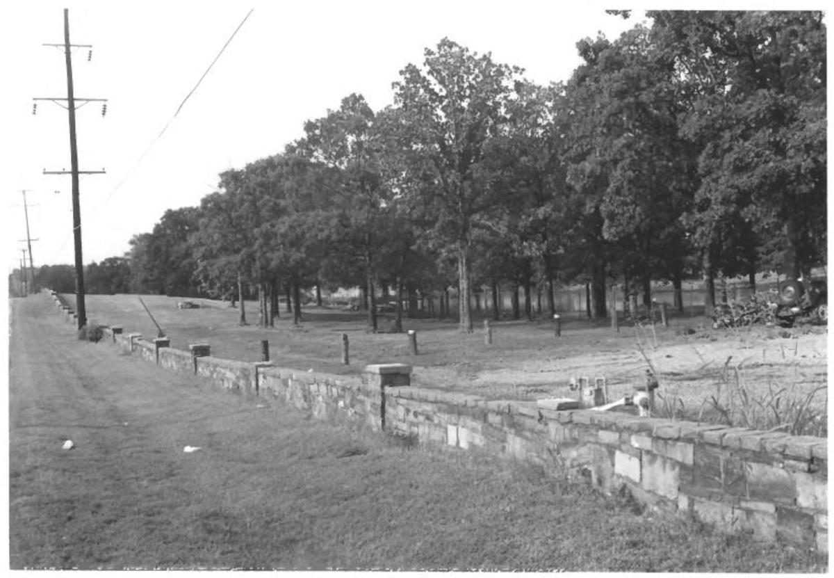 The stone fence