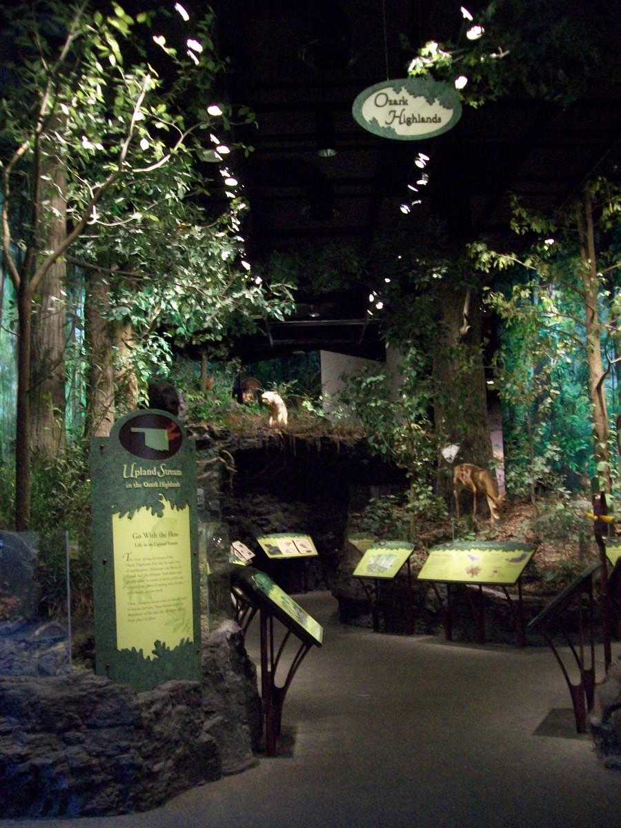 The Hall of Natural Wonders Exhibit, featured in this picture is the Ozark Highlands. The Hall of Natural Wonders Exhibit, featured in this picture is the Ozark Highlands.