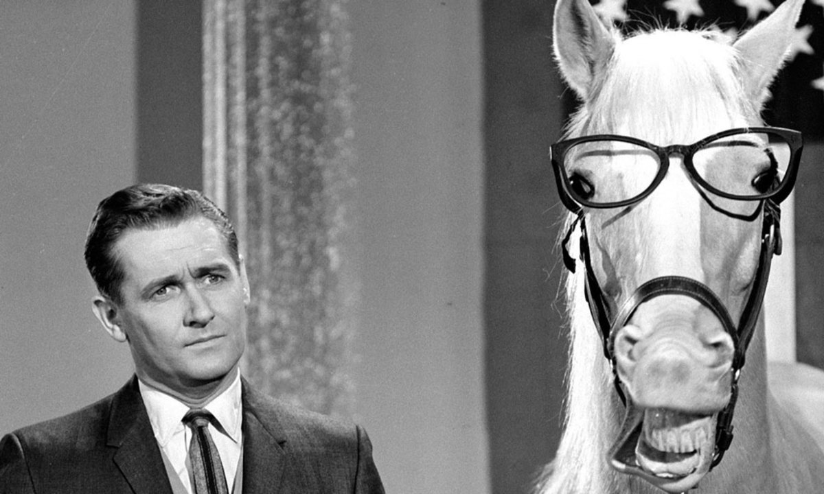 Mister Ed the horse Mister Ed the horse